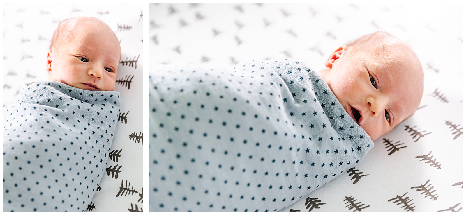 Storytelling newborn photographer Brooklyn DC