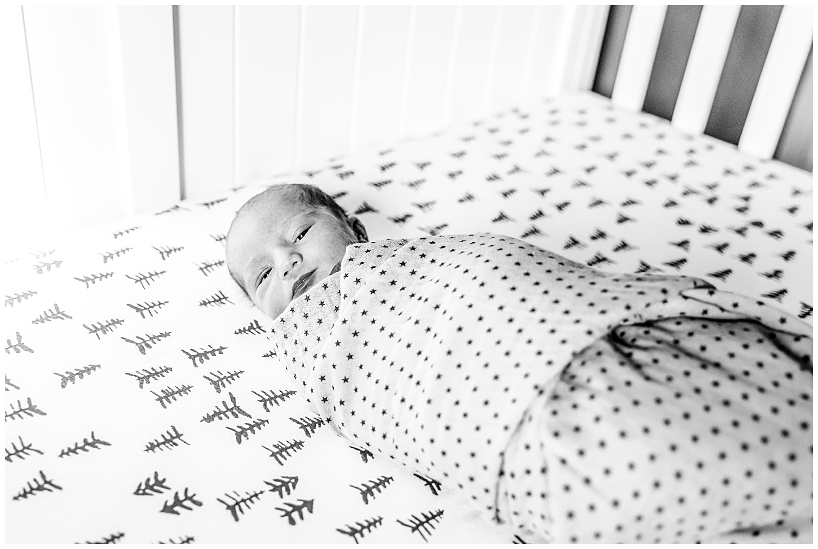 Natural light newborn photos DC Brooklyn