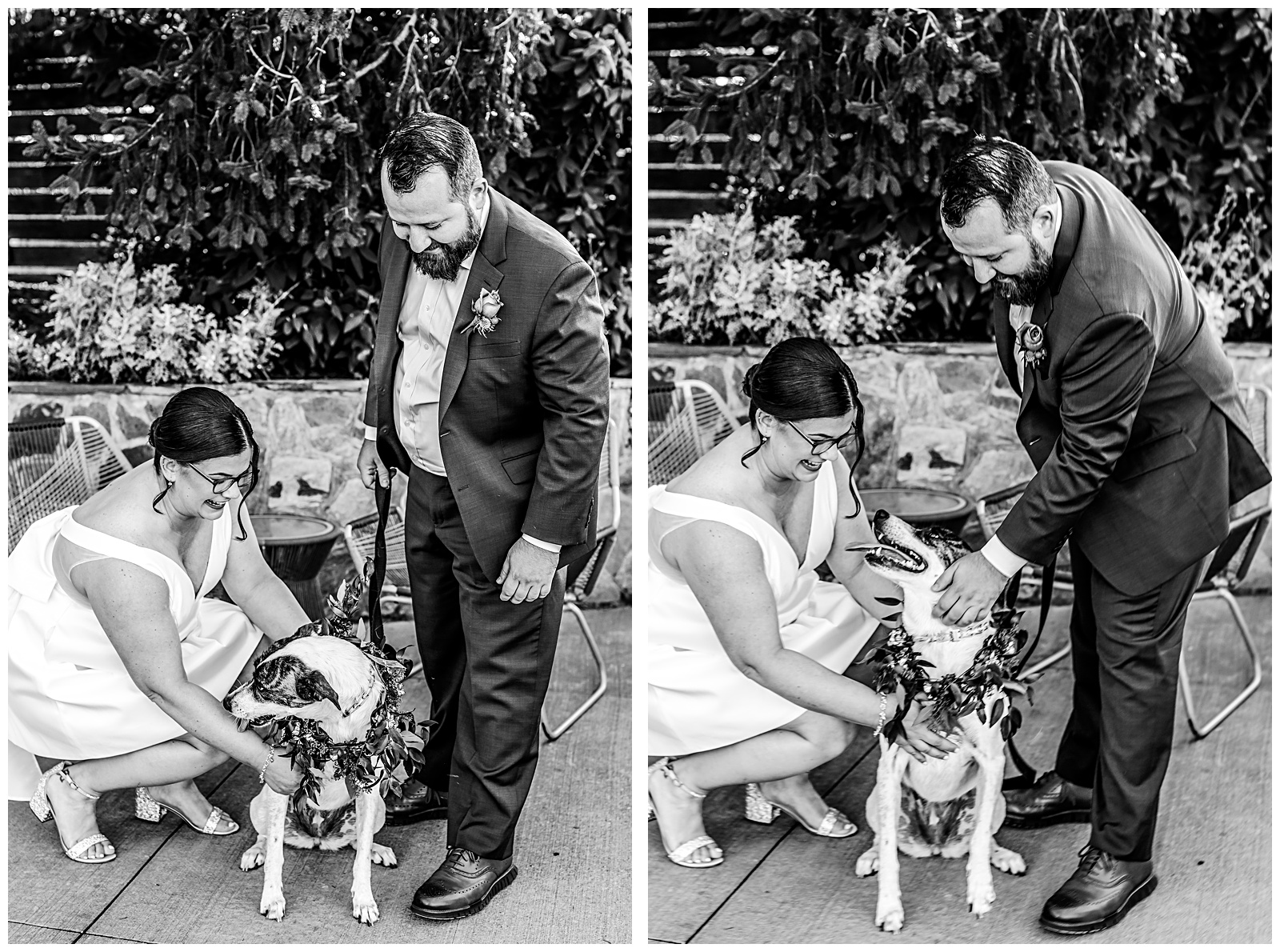 Bride and groom portraits Alexandria