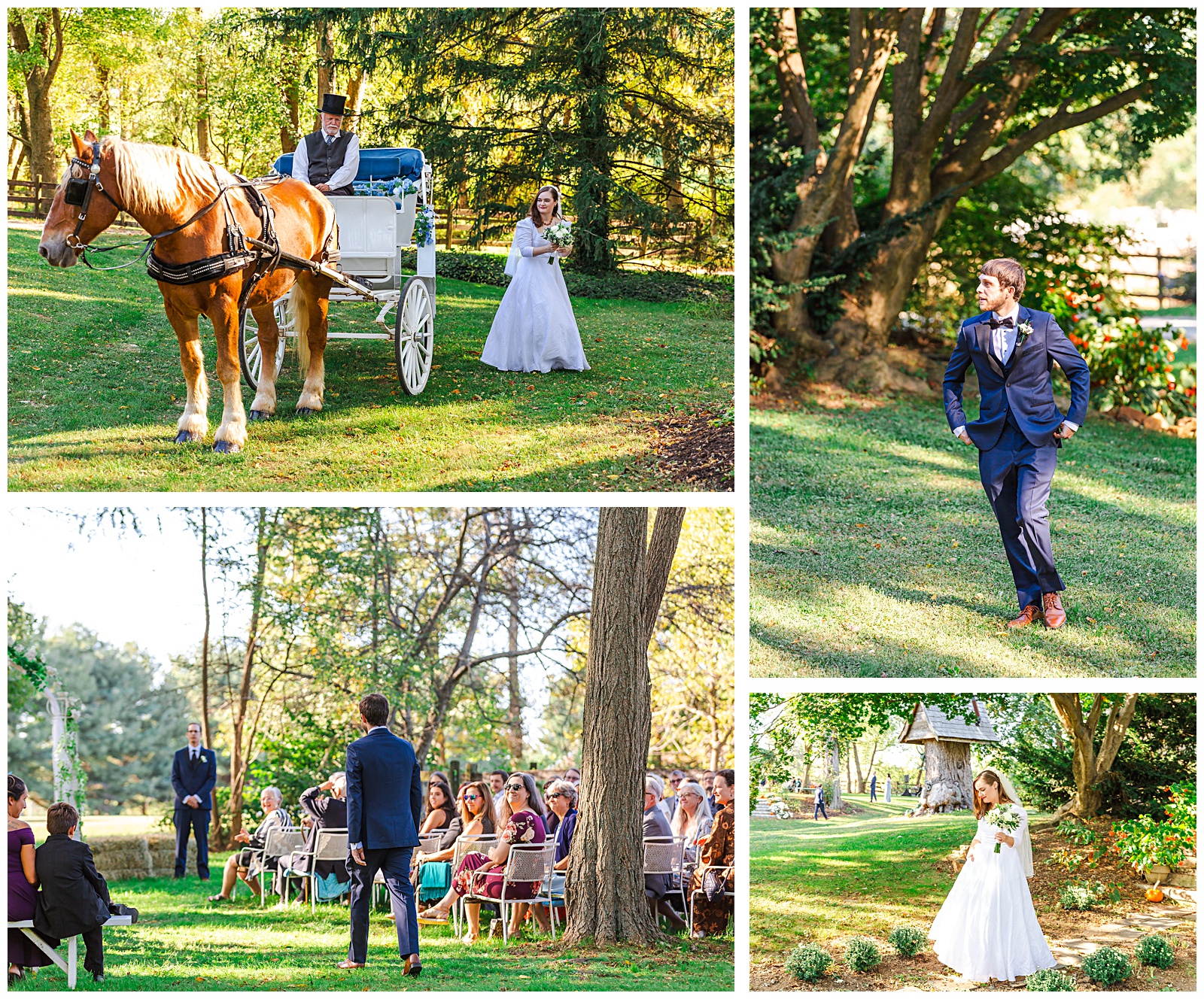 bride arrives in a horse and carriage to her wedding day ceremony